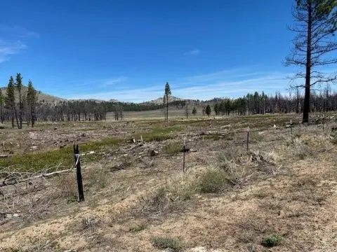 Doyle Land with Well