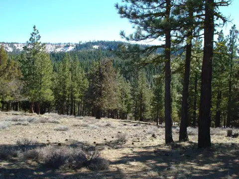 Nakoma View Property in Portola