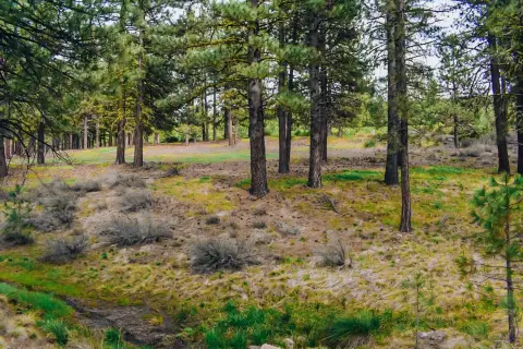 Land in Nakoma Community