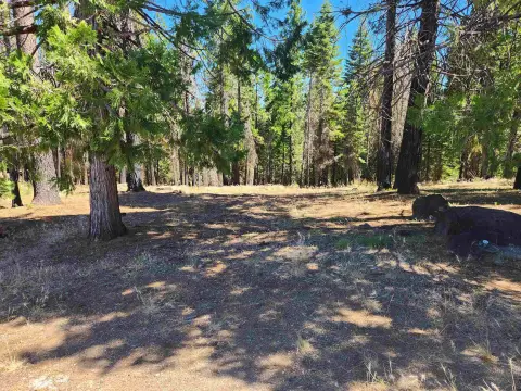 Lake Almanor West Parcel