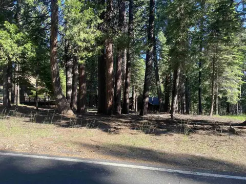 Residential Land in Chester, CA