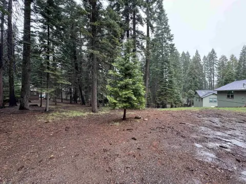 Lake Almanor Vacant Land