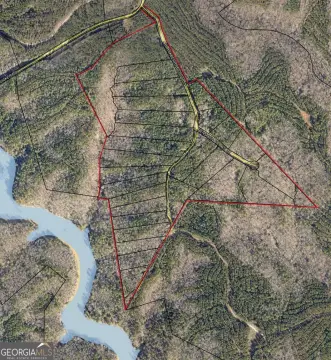 Large Acreage Home Site