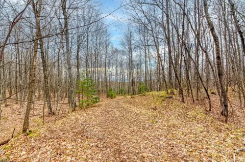 Northwoods Land on Turtle Lake
