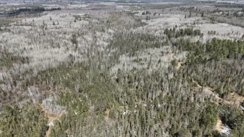 Tomahawk, WI - 80 Acres