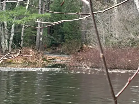 Recreational Land on Peninsula