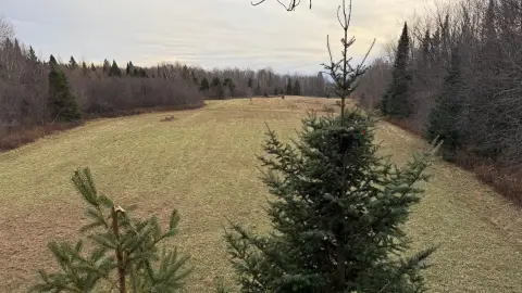 Recreation and Homesite Land
