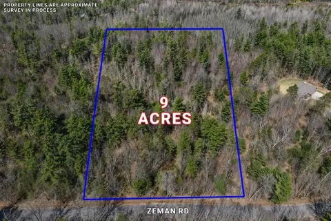 Wooded Land Parcel Near Eagle River