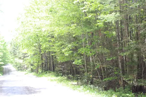Wooded Residential Land Parcel