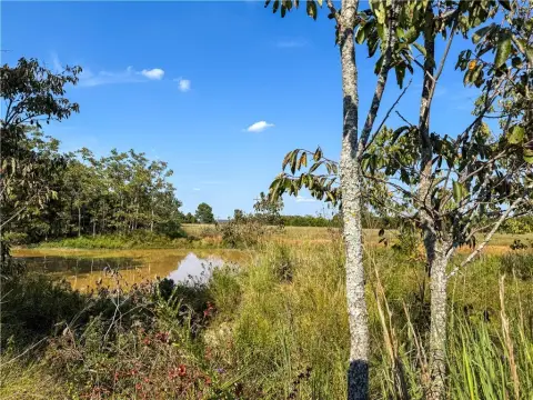 42 Acres Hunting Land, Sallisaw