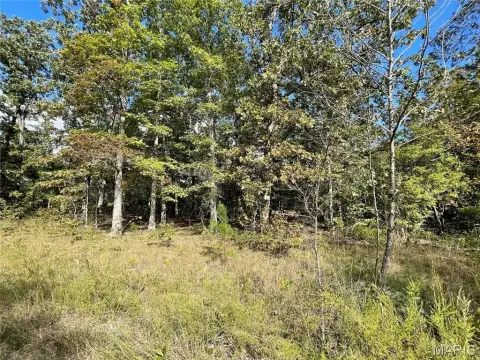 Poplar Bluff Land For Sale