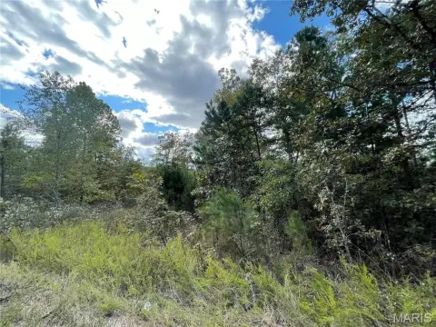 Residential Land in Wooded Subdivision