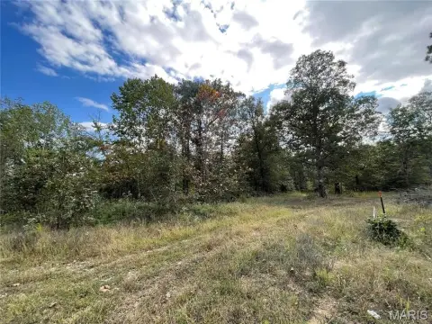 Residential Land in Wooded Subdivision