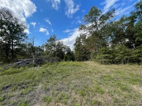 Residential Land in Wooded Subdivision