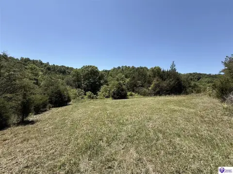 Bonnieville Acreage with Pond