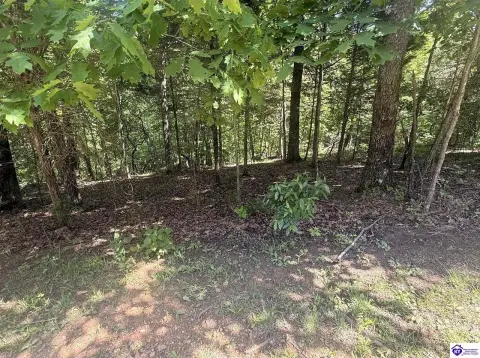 Wooded Lot in Gated Community