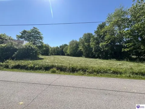 Rhodelia, KY Acreage Auction
