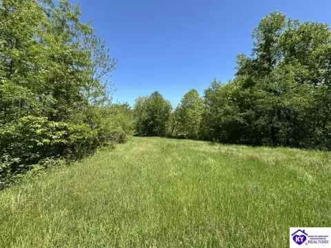 Webster, KY Acreage For Sale