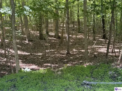 Residential Lot in Doe Valley