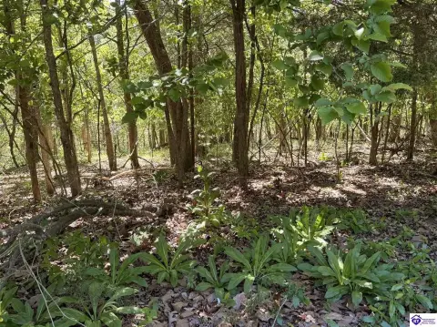 Wooded Lot in Gated Community