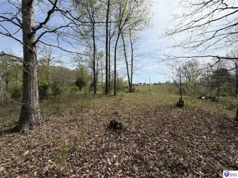 Hardinsburg, KY Land Auction