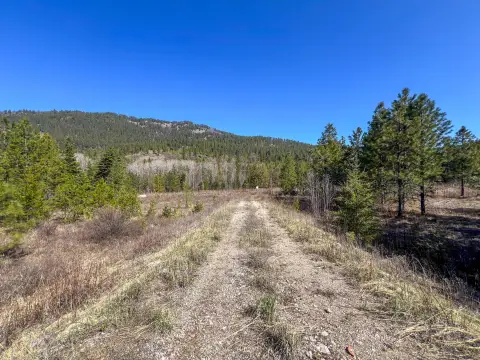 Large Acreage Near Ski Resort