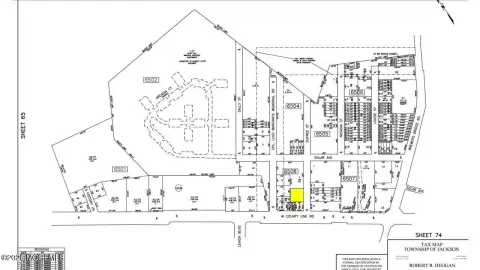 Highway Commercial Lot in Jackson