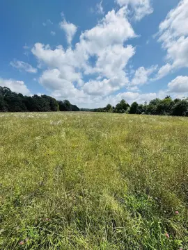 Aviation Property With Private Airstrip