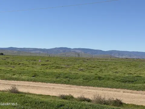 Agricultural Land