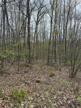 Wooded Residential Acreage Retreat