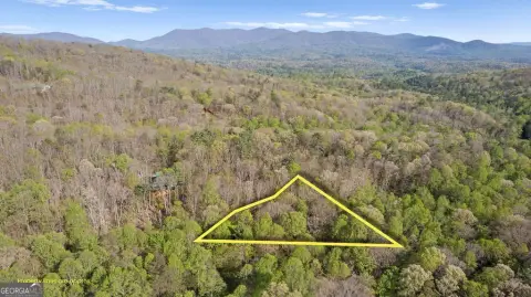 Ellijay Mountain Land with Creek