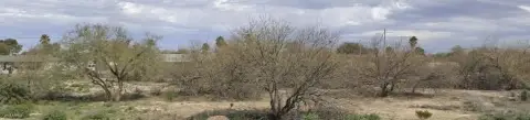 Land Near Nikola Factory