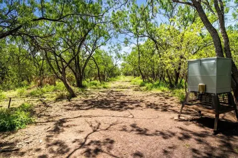 Unrestricted Land Near Mathis Lake