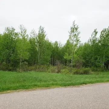 Argonne, WI Commercial Land