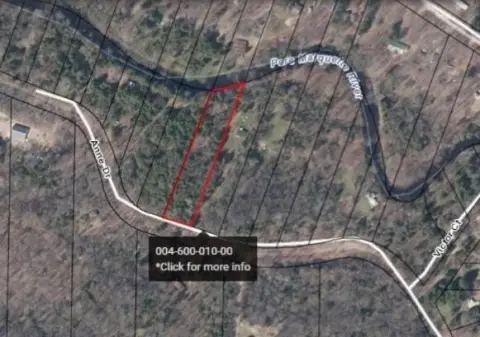 Waterfront Land with River Frontage