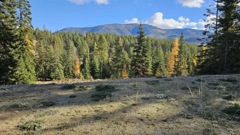 Colville Acreage with Mountain View