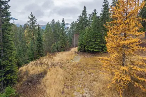 Colville Acreage with Timber