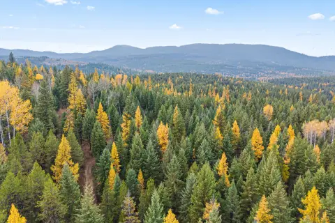 57.3 Acres in Stevens County