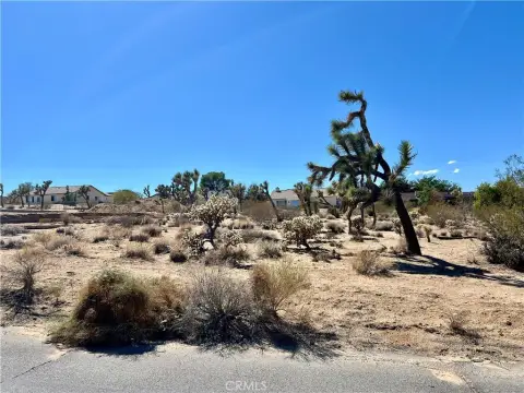 Joshua Tree Land Opportunity