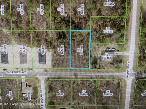 Residential Land in Brooksville, Florida