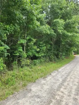Wooded Residential Homesite Land