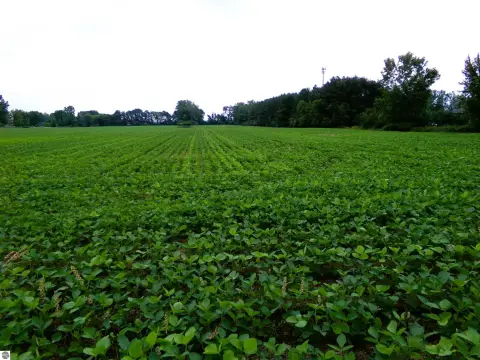 Agricultural Land with Utilities