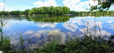Wooded Waterfront Land