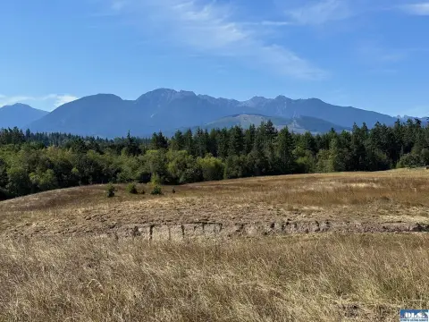 Olympic Peninsula Land with Mountain Views
