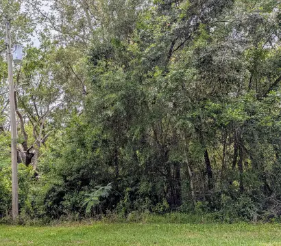 Citrus Springs Land Parcel