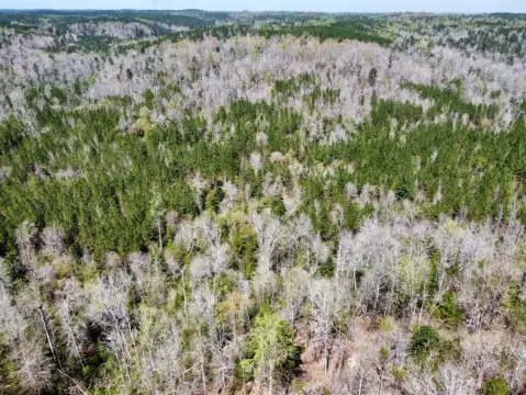 Ararat Vacant Hunting and Timber Land