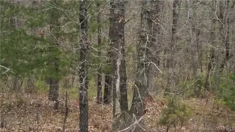 Versailles Land with Highway Frontage