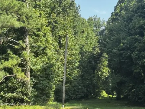Undeveloped Land