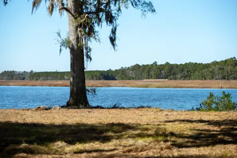 Waterfront Estate Lots with Community Dock