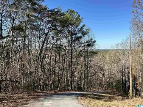 Residential Land in Columbiana, AL